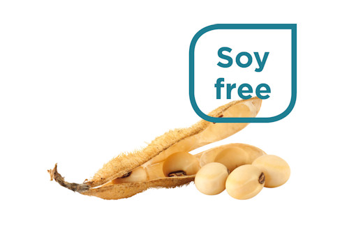 Soy free